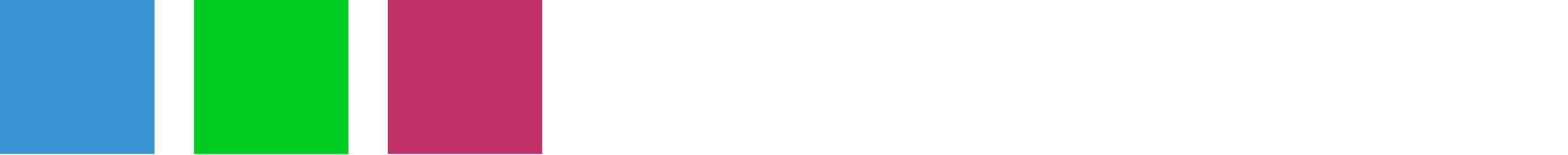 RADEX Logo